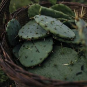 Тоник для лица увлажняющий OPU, 100 мл ()