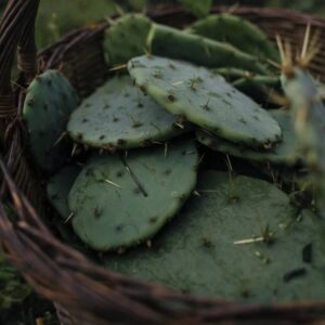 Гель для умывания очищающий OPU, 100 мл 12 Гель для умывания очищающий OPU, 100 мл ()