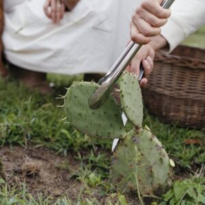 Комплекс для ухода за лицом OPU by Irena: очищение + PH баланс + увлажнение ()