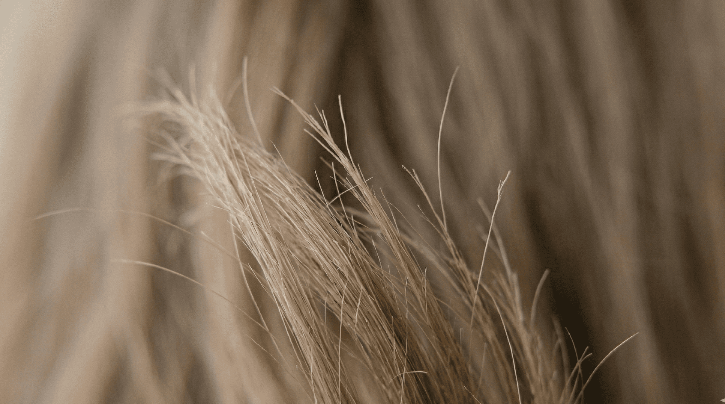 Почему выпадают волосы и что действительно помогает при ослаблении, ломкости и потере плотности 2 Почему выпадают волосы и что действительно помогает при ослаблении, ломкости и потере плотности ()