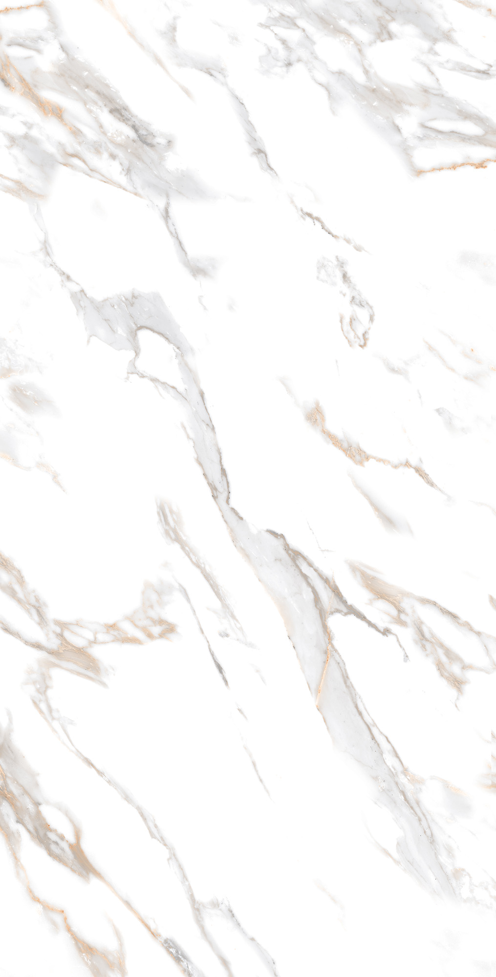 CR4019-A
