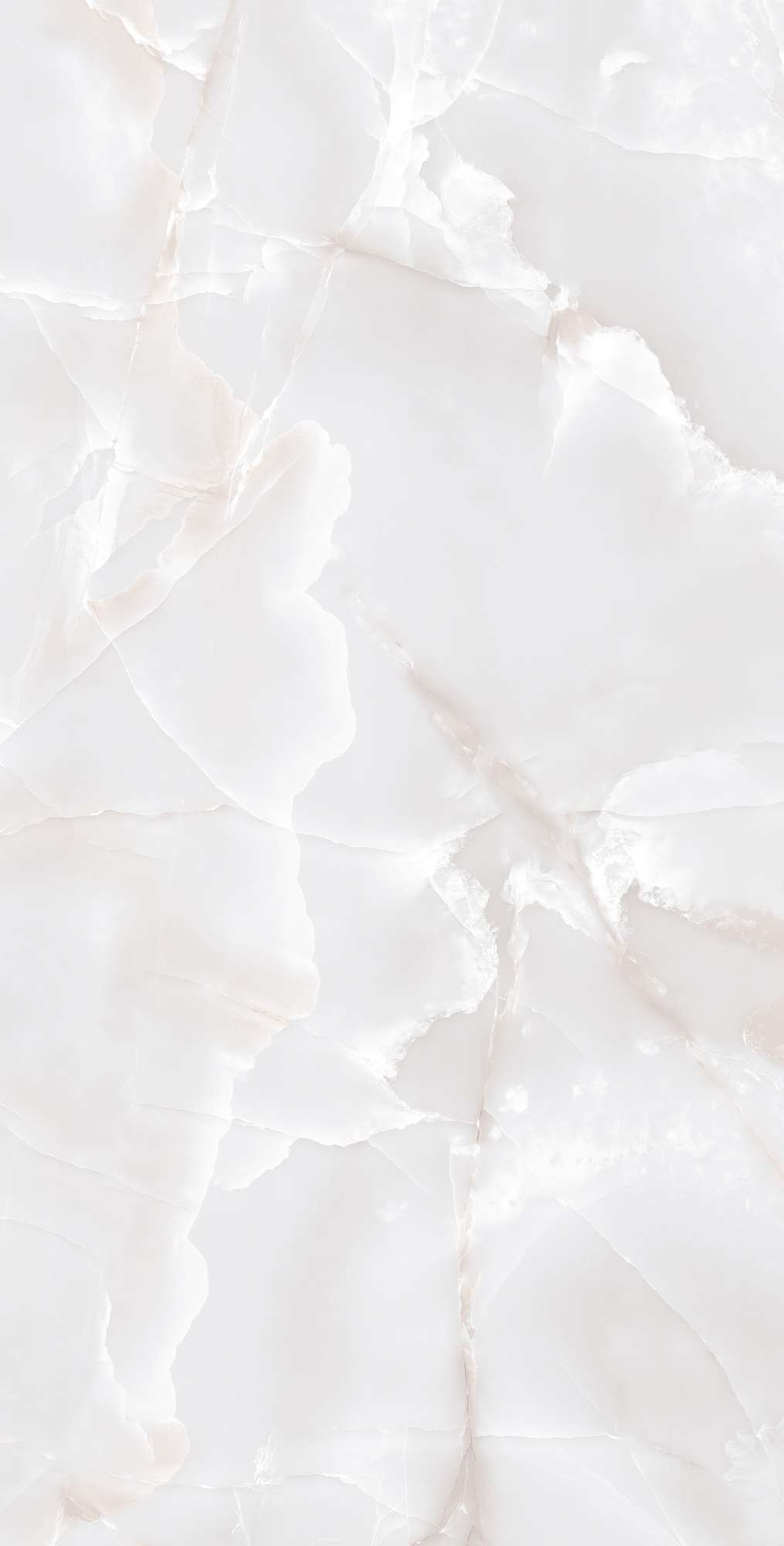 FP1017-A