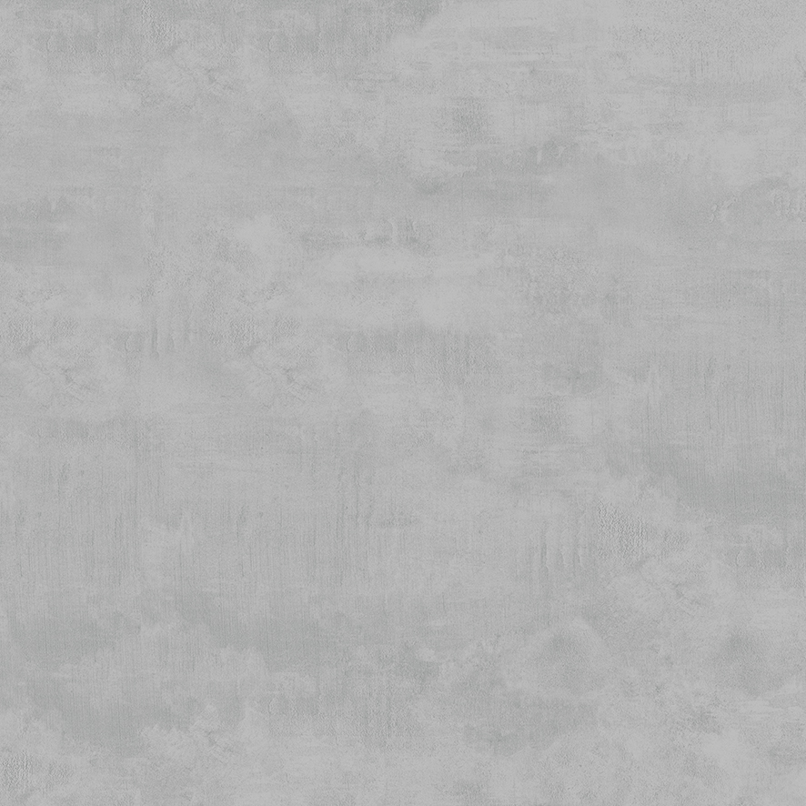 х9999295725