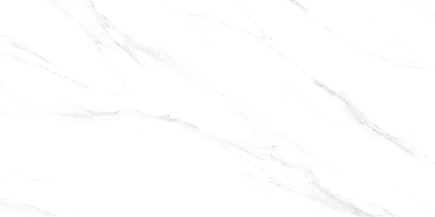 х9999304205