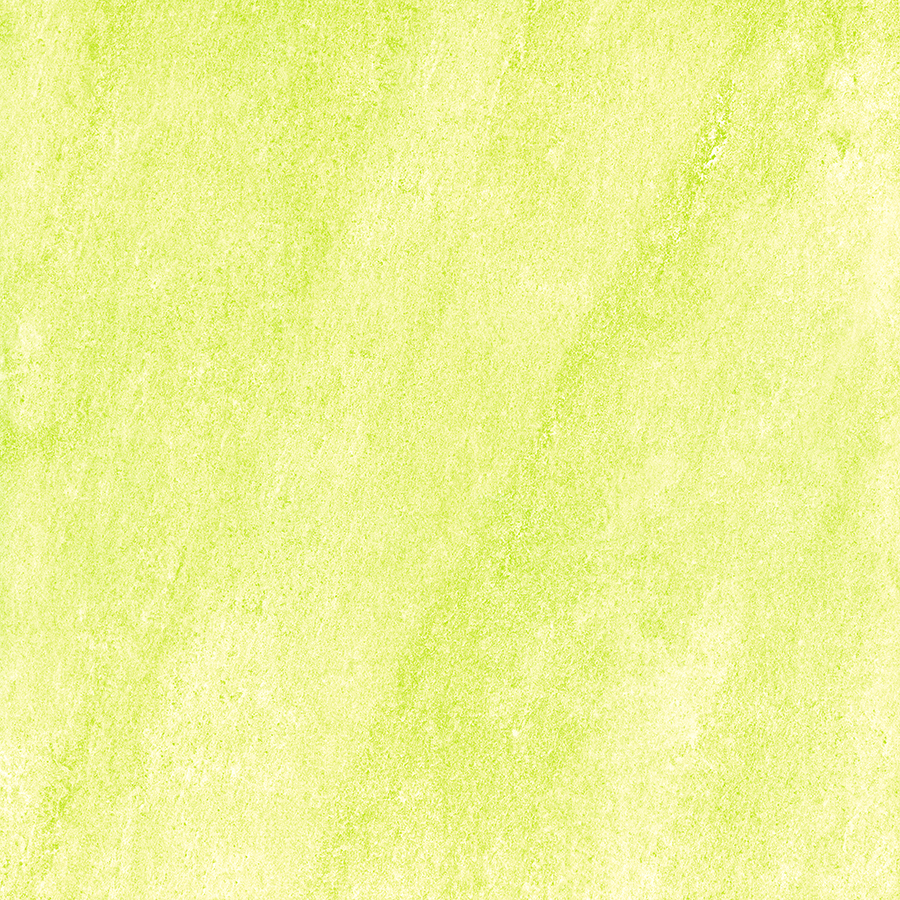 ЦБ-00000294