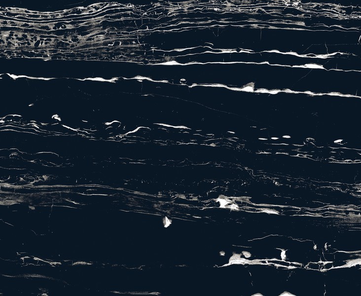 ЦБ-00000424