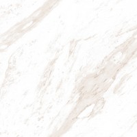 ЦБ-00000795