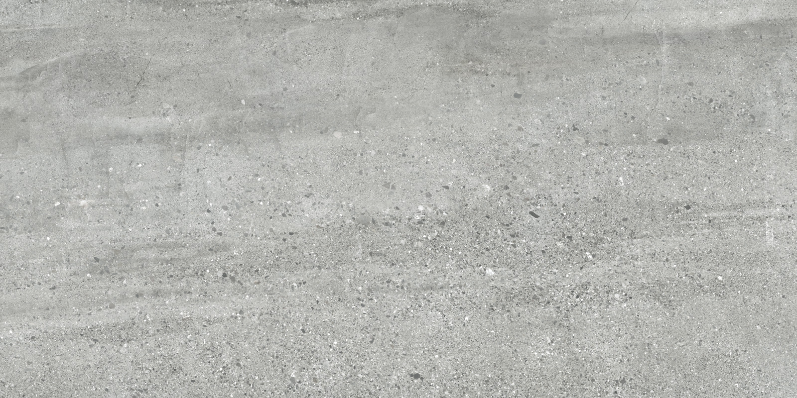 D120206M