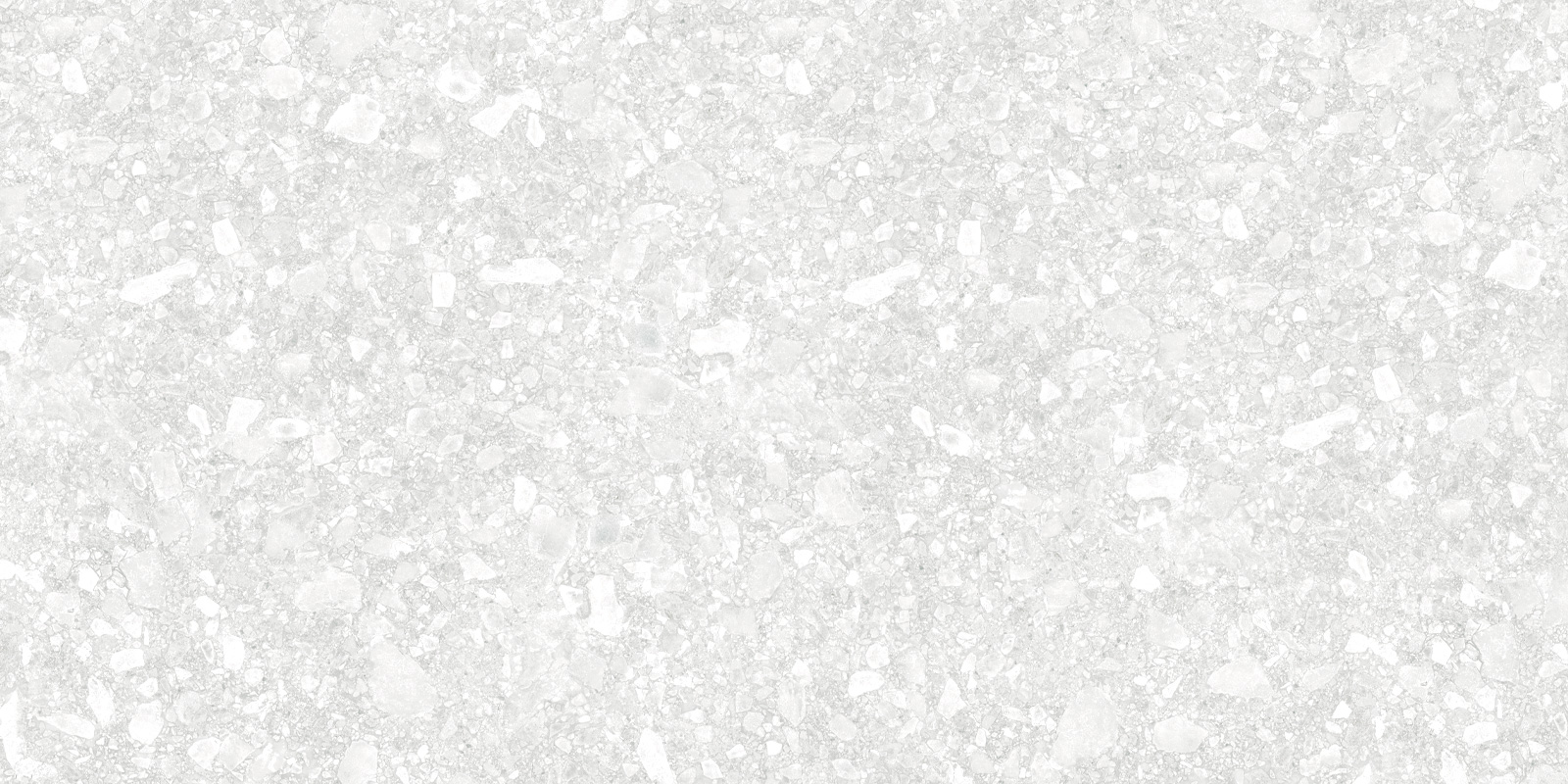 D12041M