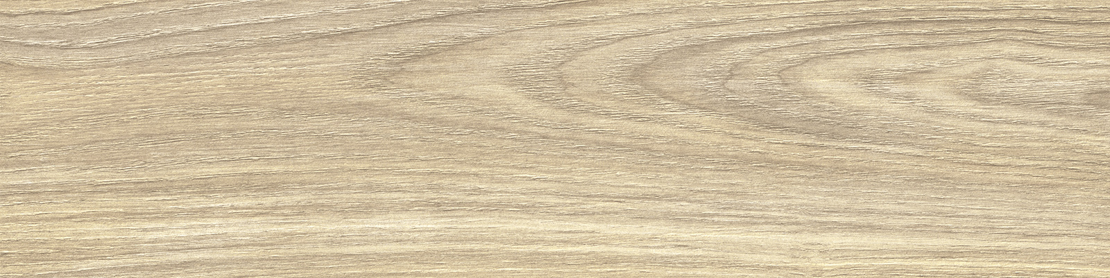 GP1560ASP21