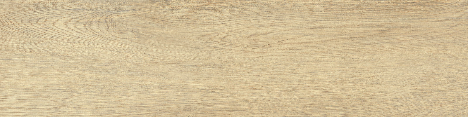 GP1560CRW11