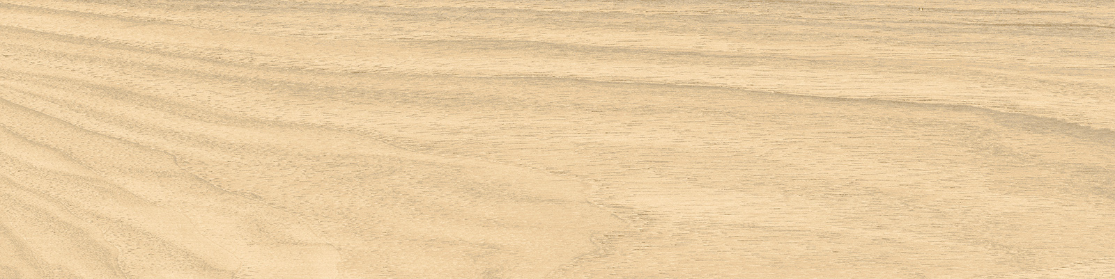 GP1560ERB11