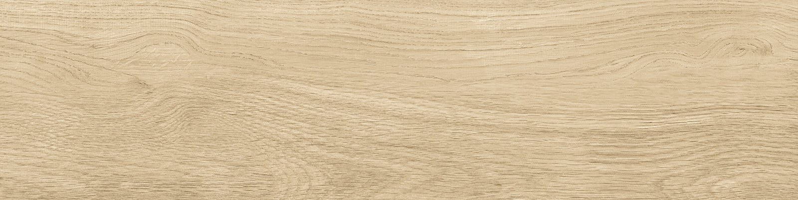 GP1560NUT11