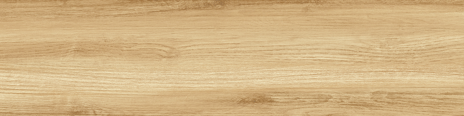 GP1560PEP11