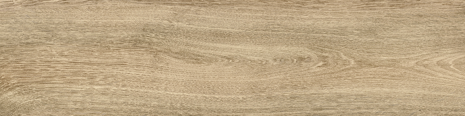 GP1560TAN11