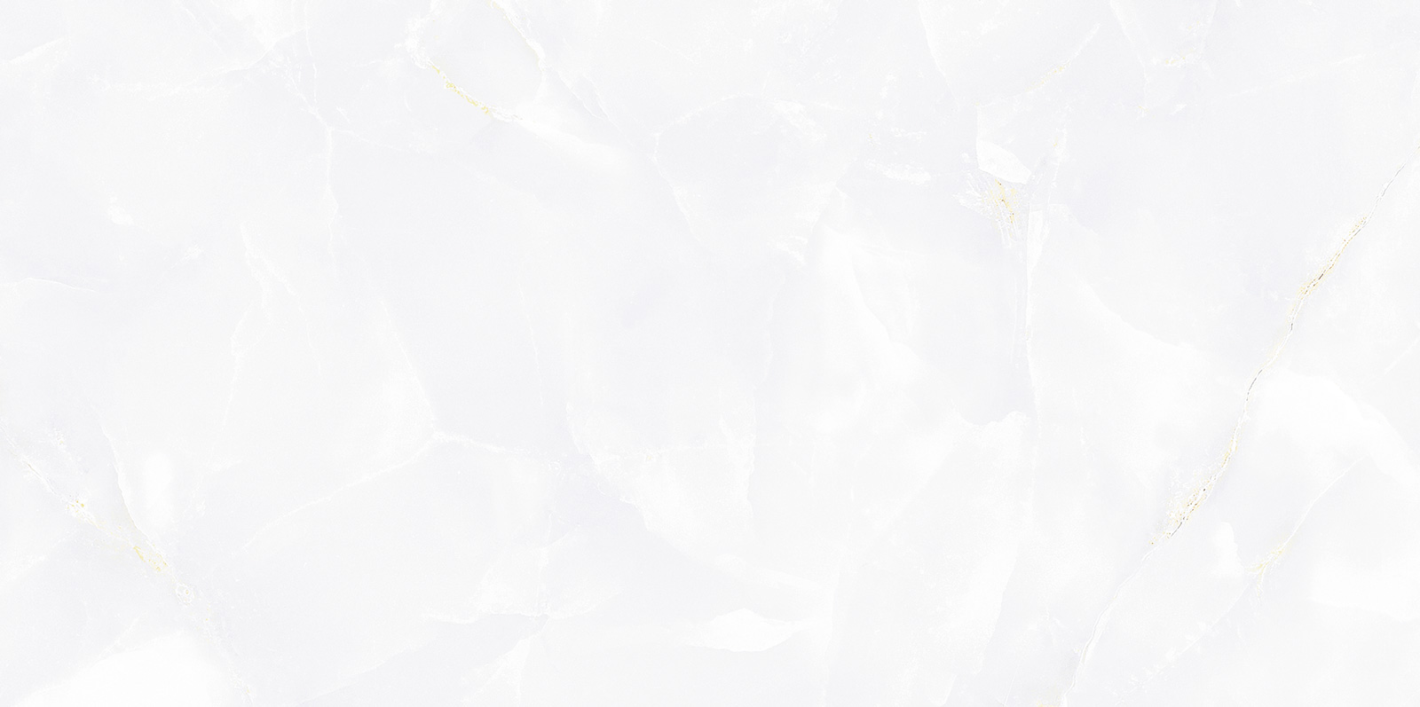 TWU09BGM007