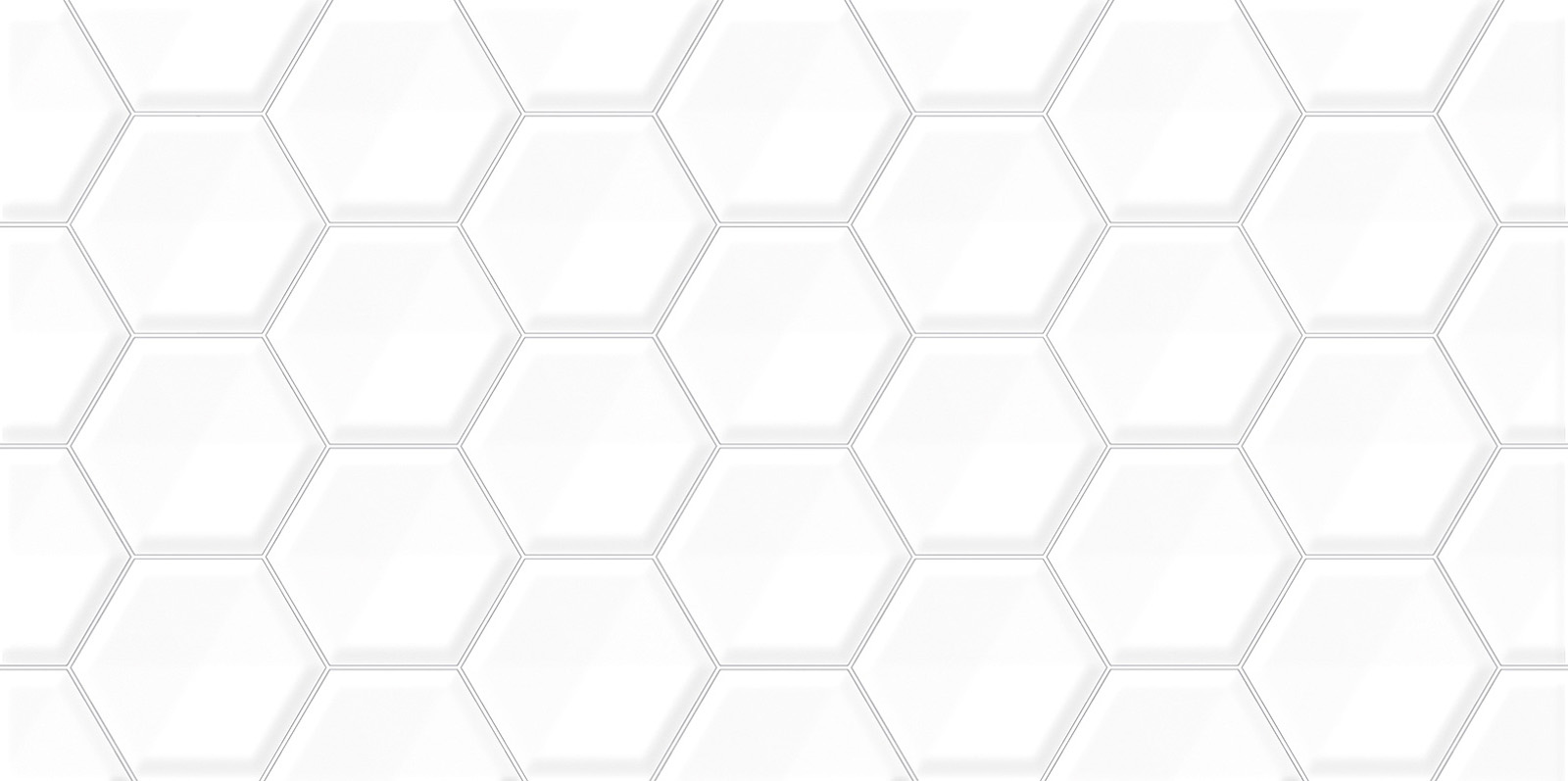 TWU09BLB010