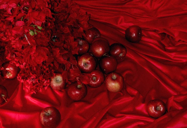 НОЭМА ДЕКОР / NOEMA DECOR | ‘ruby red’ - фото 275
