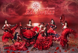 Шоу-балет Эдельвейс / Edelweiss - слайд 9
