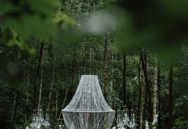 Лесная Роса / Forest Dew Выездная регистрация - фото 6