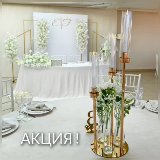 Вектор дизайна, студия декора