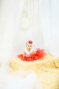 Princess Decor, свадьба: Оформление и декор фотосессий