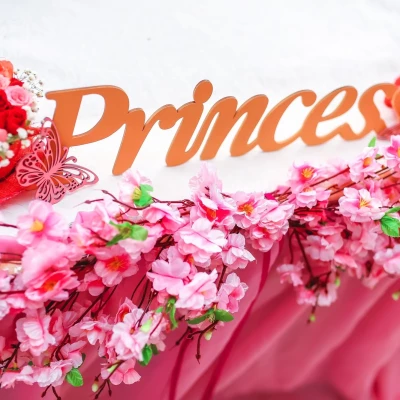 Princess Decor