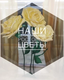 Мир фотозон, свадьба: Оформление свадебного зала