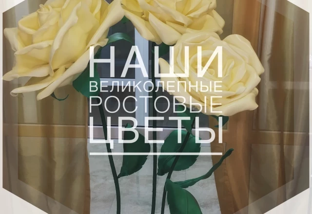 Мир фотозон, свадьба: Оформление свадебного зала