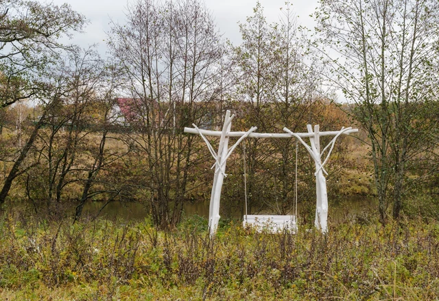 Рябина  Наша территория - фото 19