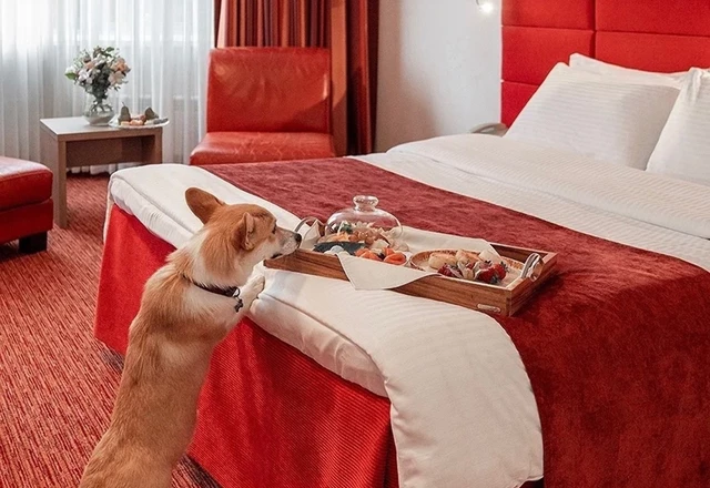 Рэд Старс Отель / Red Stars Hotel Номера для молодоженов и гостей - фото 5
