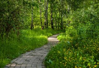 Загородный клуб Медвежьи Озера Территория и пирс - фото 10