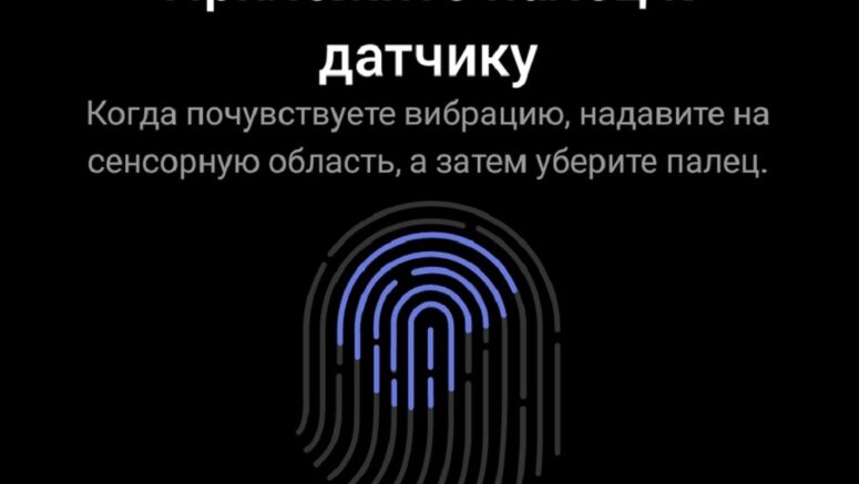 Отпечаток пальца биометрия