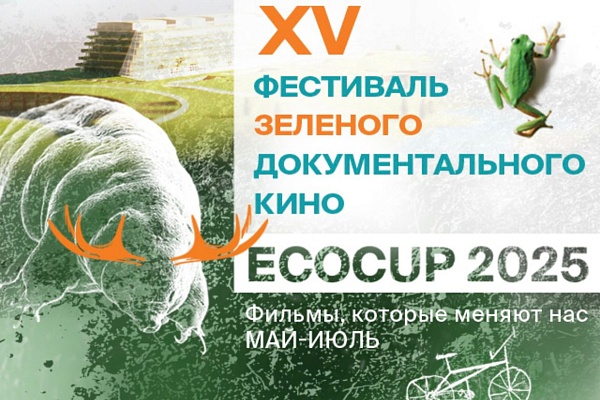 Иллюстрация: sochi.ru