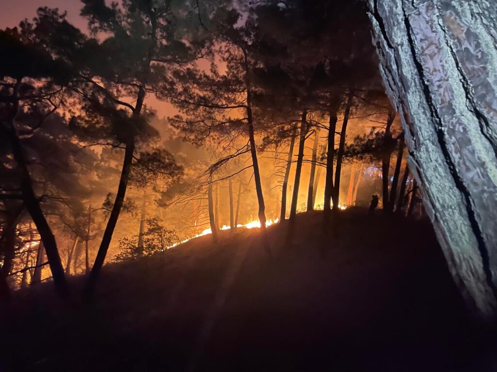 На тушение лесного пожара в районе Голубой бездны в Геленджике ушли почти сутки