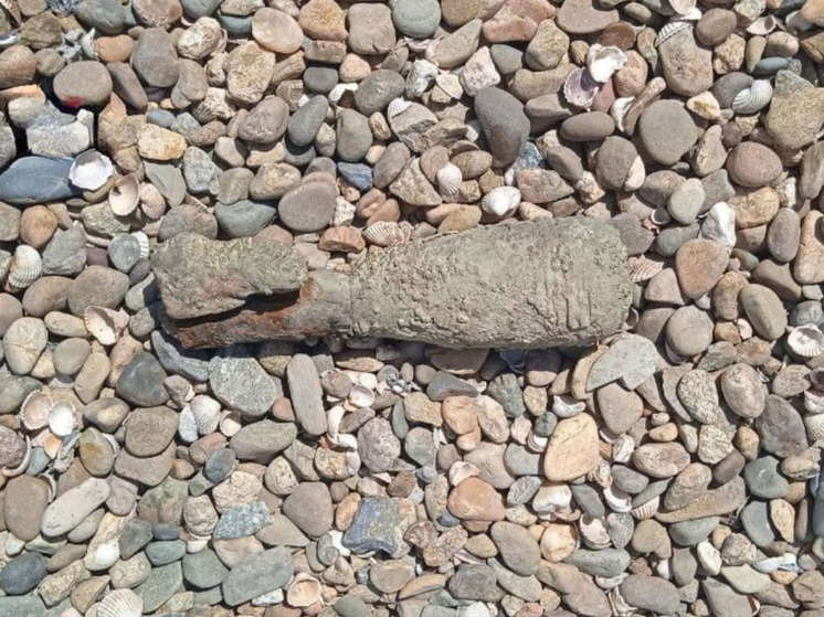 Фото: t.me/rosgvard_krasnodar