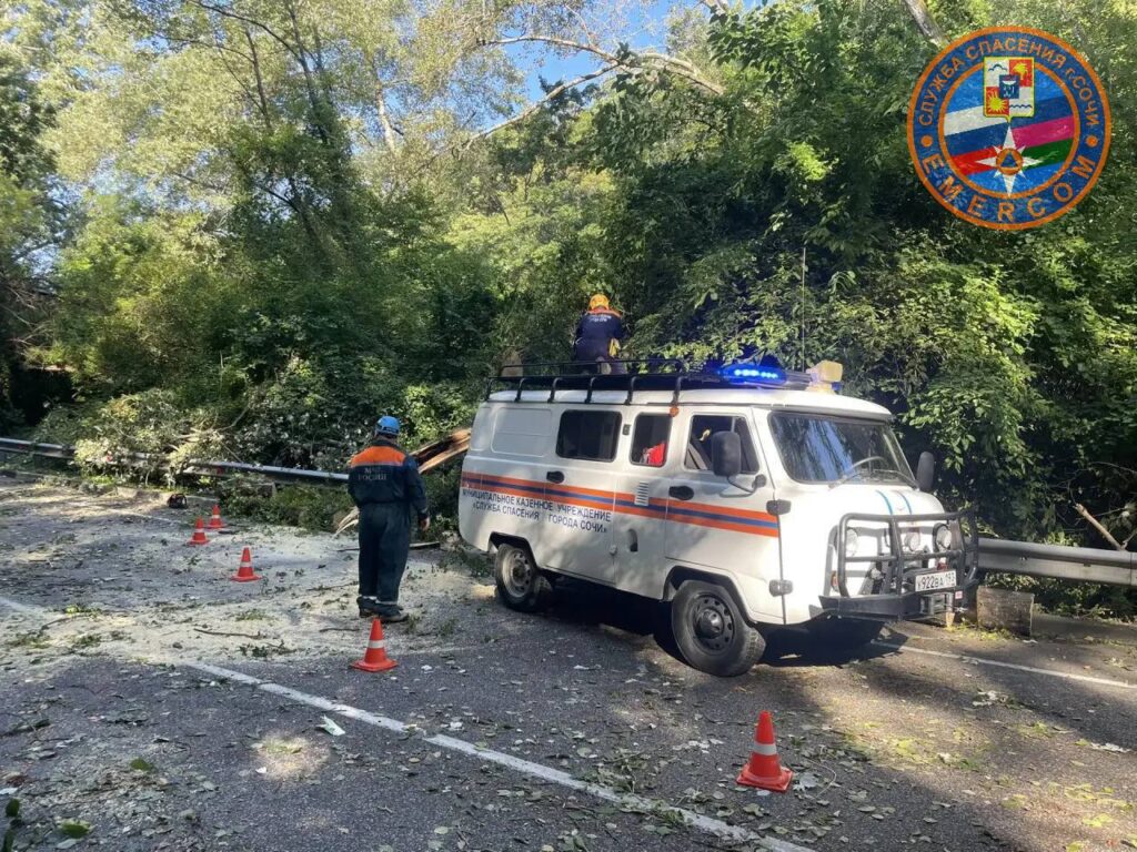 В сочинском селе рухнувшее дерево придавило автомобиль с водителем