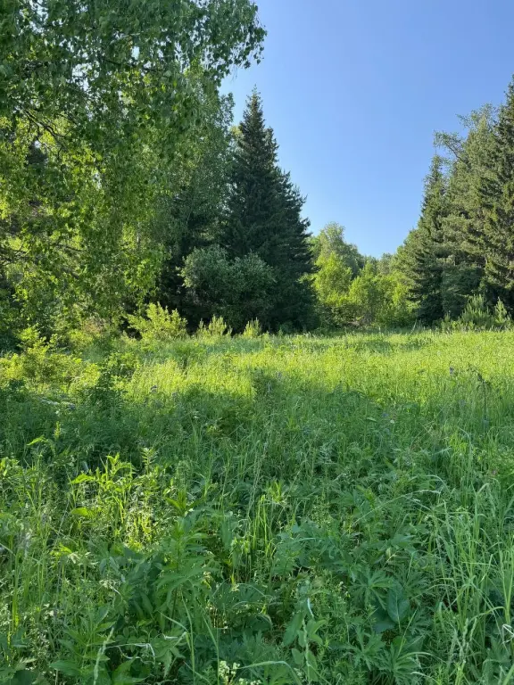 Участок 10 соток, с. Ягуново, Кемеровский район