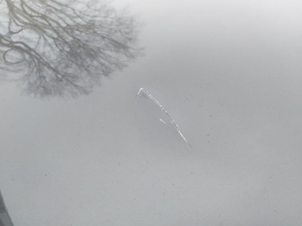Фото 13