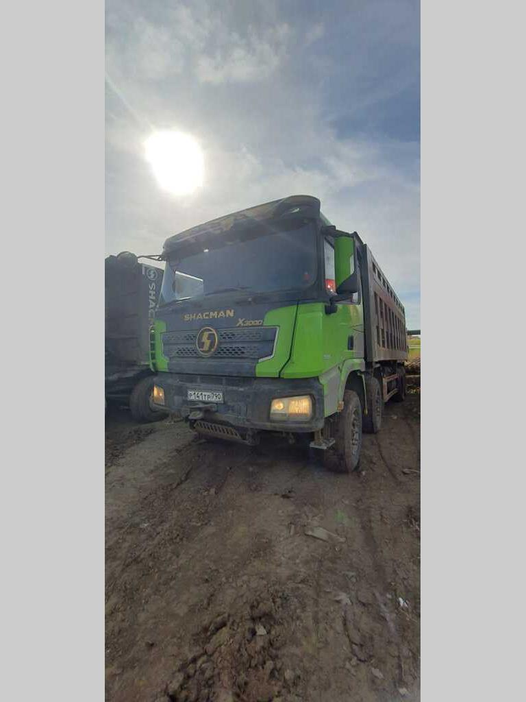 SHACMAN SX331863366