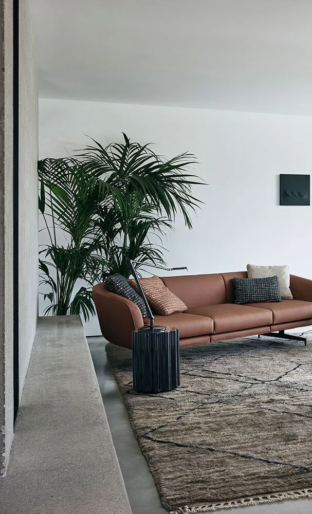 Kartell Aledin — модель в интерьере — изображение 2