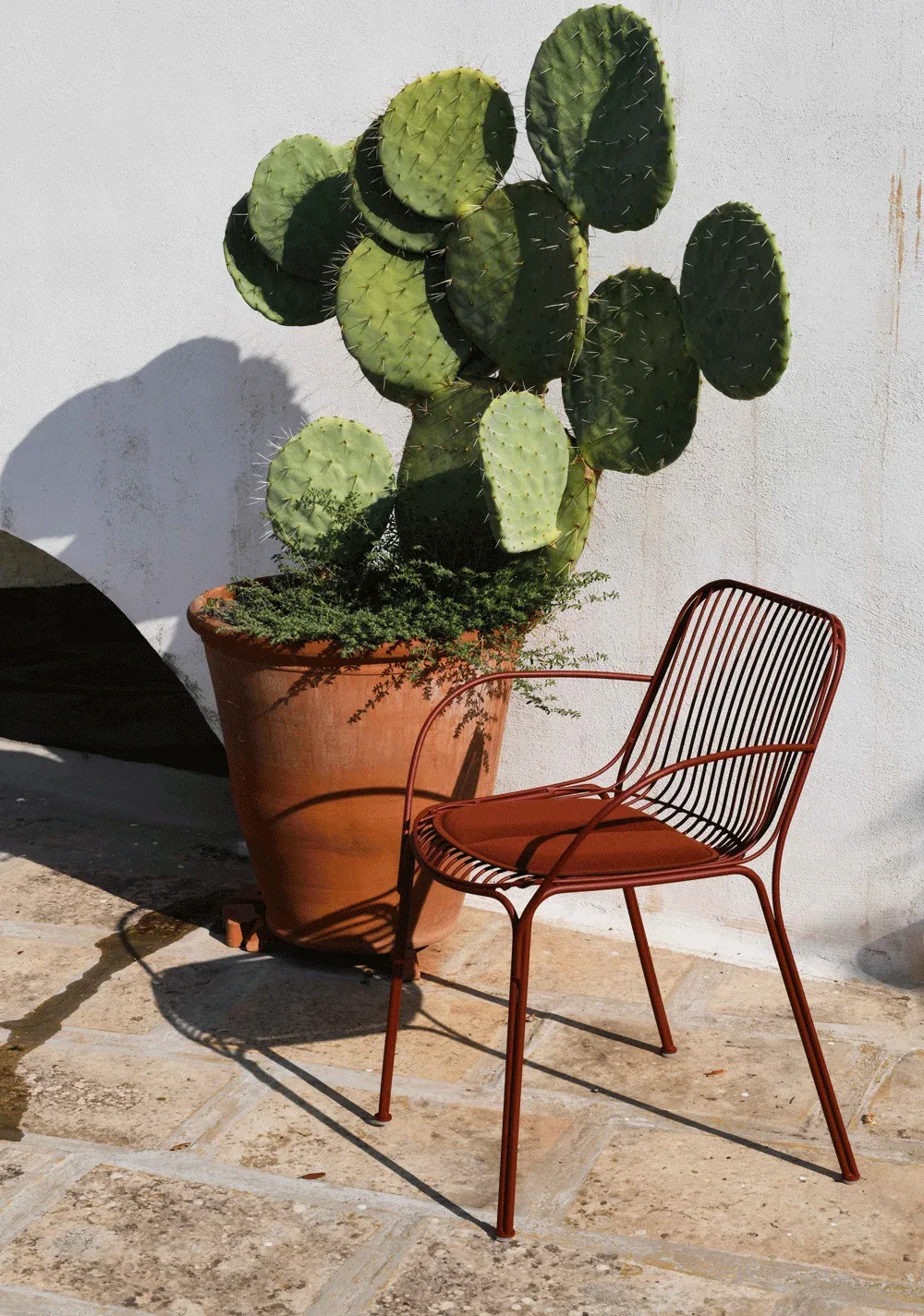 Kartell Hiray — модель в интерьере — изображение 9