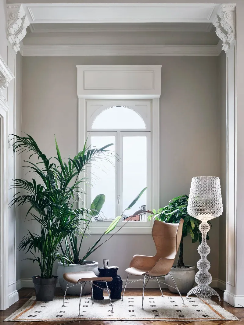Kartell Wood — модель в интерьере — изображение 2