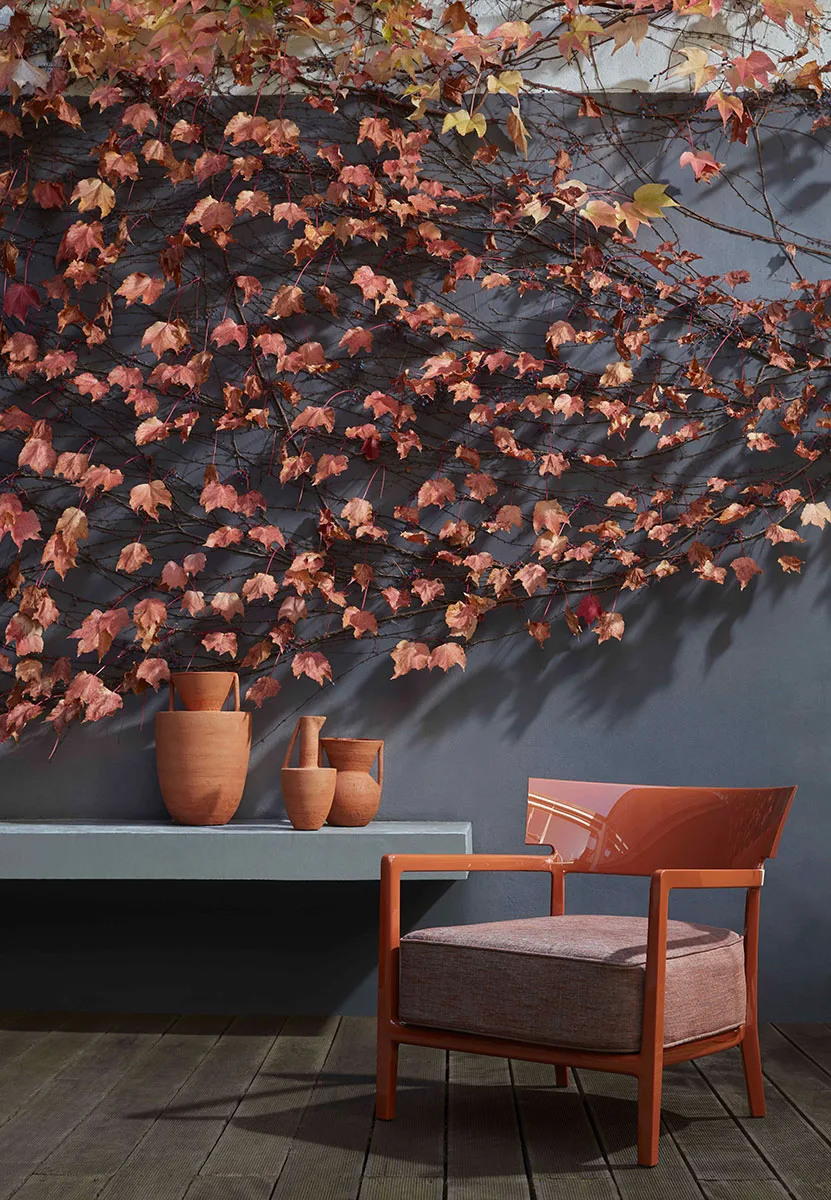 Kartell Cara — модель в интерьере — изображение 5