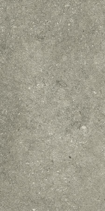 Керамогранит Le Reverse Taupe elegance 40x80 — изображение товара 1