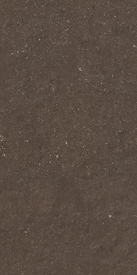 Керамогранит Pierre Vive Brionne noble grip 60x120 — изображение товара 1
