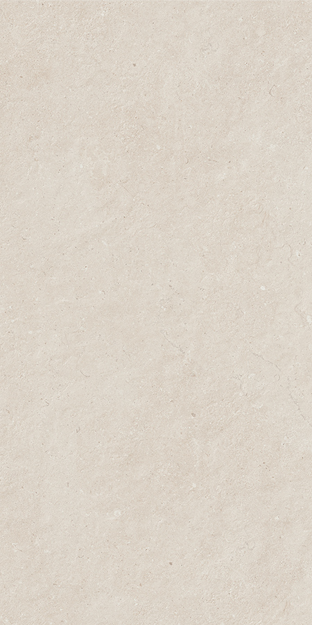 Керамогранит Pierre Vive Loire noble grip 60x120 — изображение товара 1