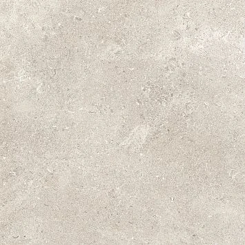 Керамогранит Coquille Champagne 120x120x0,9 Matt-Pro Rt Refin, арт. OX80 — изображение товара 2