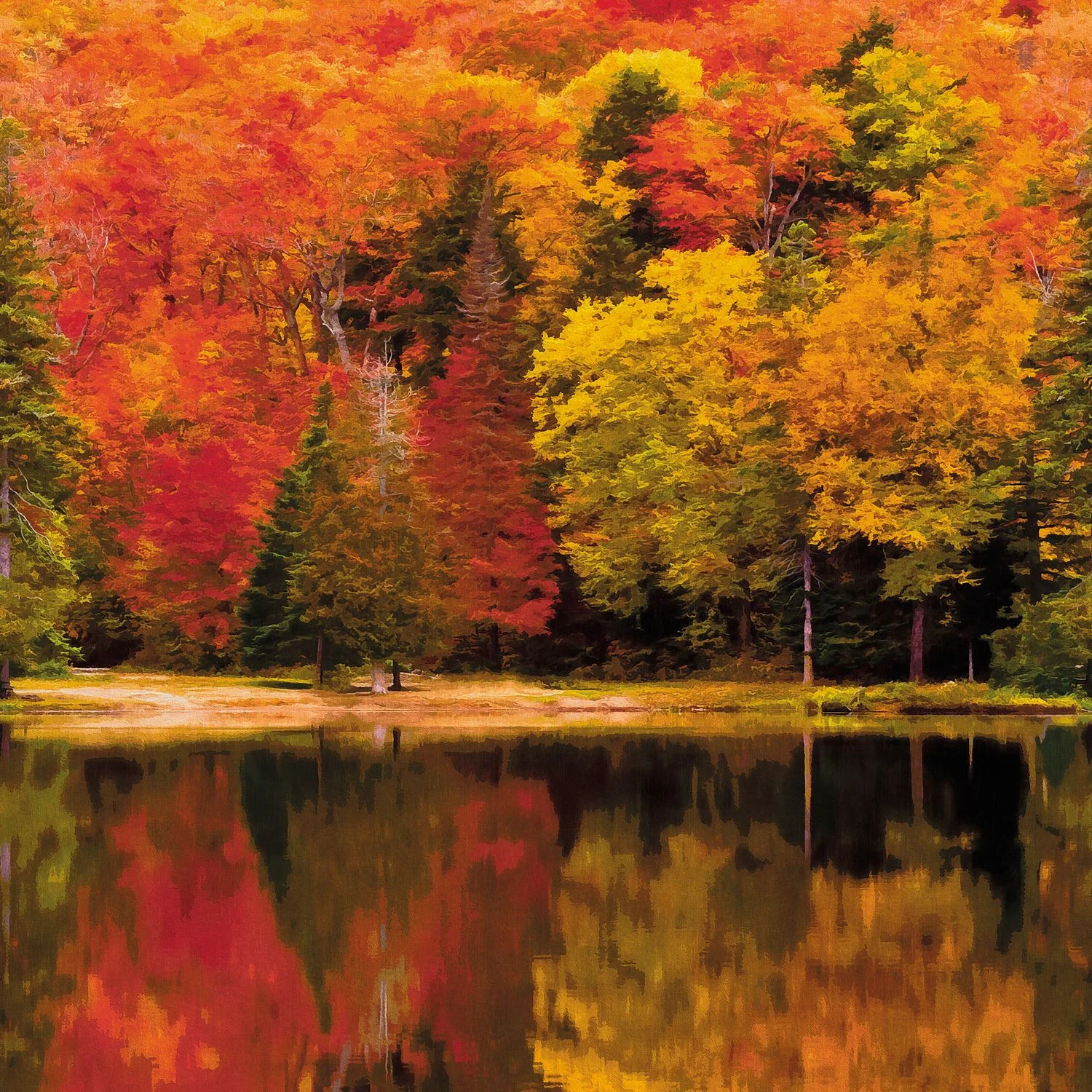 AUTUMN Casadeco, BEAUTY FULL IMAGE 2 CAD